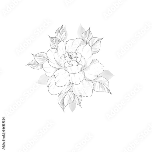 hand drawn flower