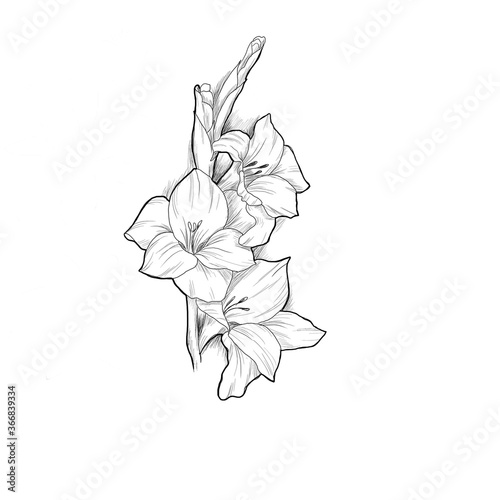 hand drawn flower
