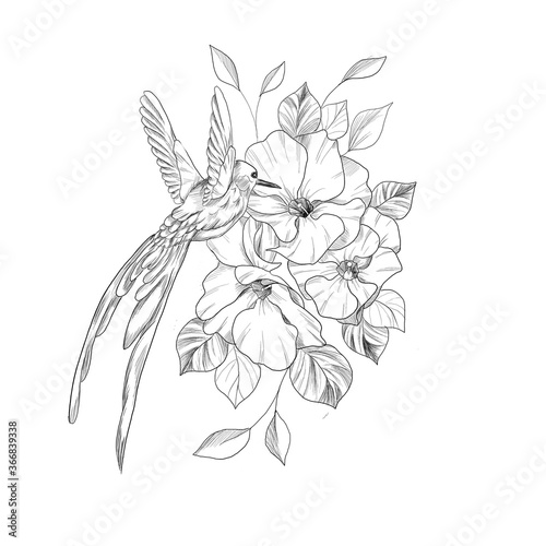 hand drawn flower