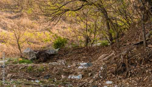 Discarded debris in woodland area