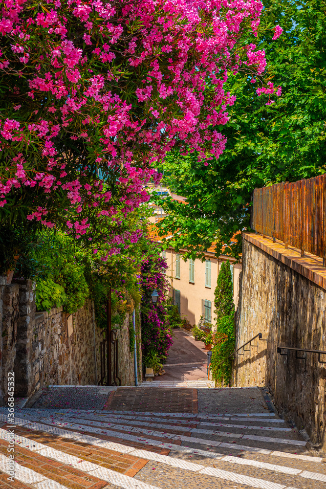 The old town district of Cannes with its small lanes - travel photography