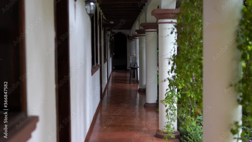Hallway of colloquial home with plants and columns Hallway of colloquial home with plants and columns