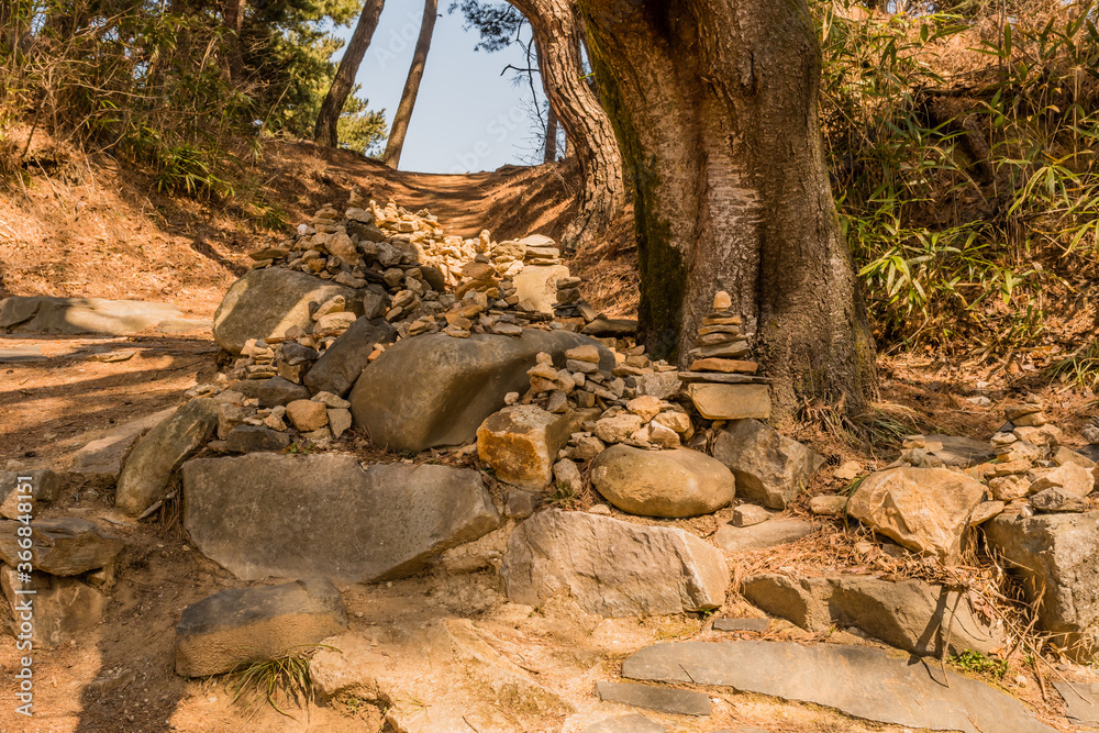 Tree surrounded by small rock pyramids Tree surrounded by small rock pyramids