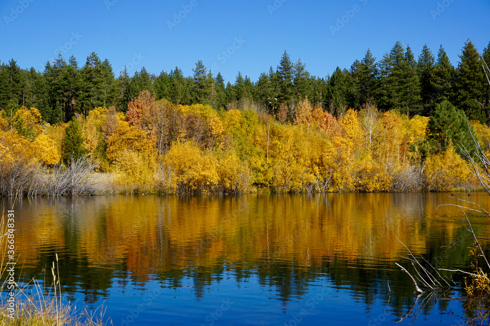 Autumn colors reflected in a pond near Lake Tahoe, California