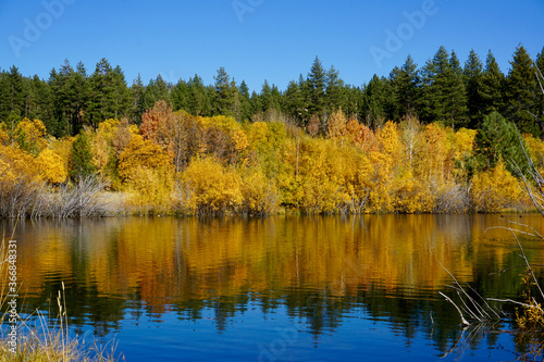 Autumn colors reflected in a pond near Lake Tahoe, California