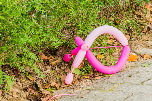 Closeup of discarded pink balloon