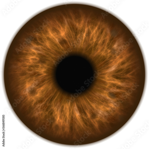 human amber brown eye iris closeup photo