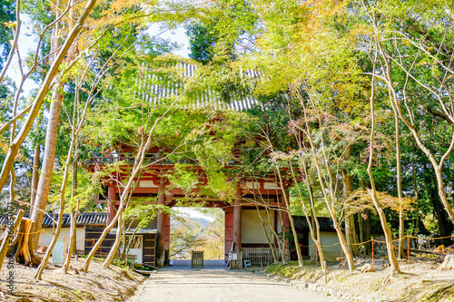 京都　醍醐寺 © ndk100