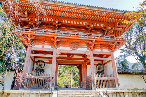 京都　醍醐寺