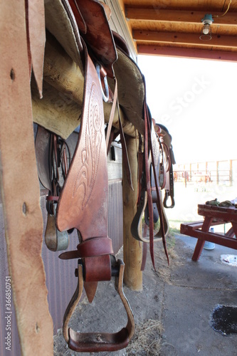 horse brown leather saddle
