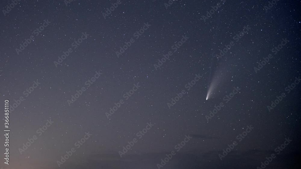 NEOWISE NEOWISE