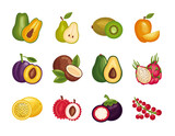 bundle of fresh fruits set icons