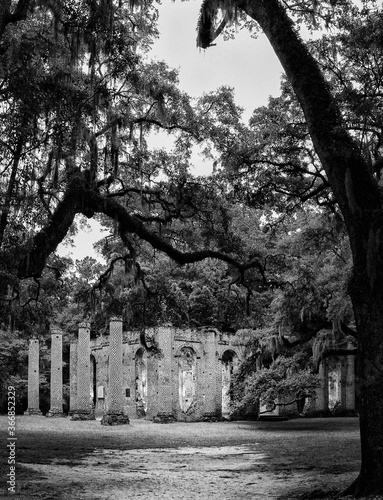 Dirt path leading to historical Sheldon Church brick structure ruins with columns and overhanging trees and shade in black and white photo