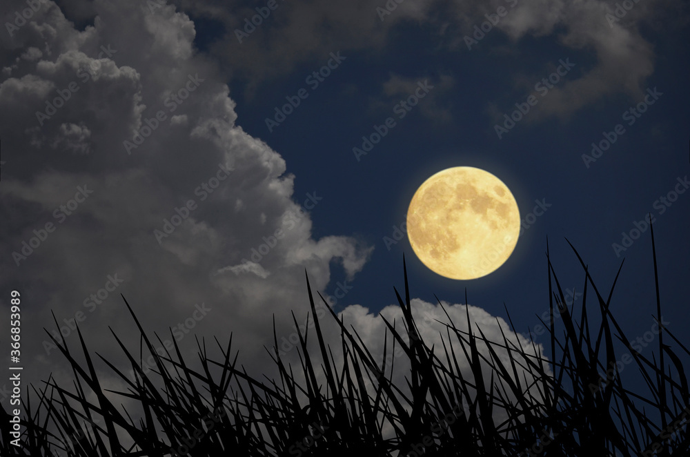 Naklejka premium Romantic full moon with white clouds in blue sky