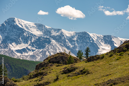 Wide view of a section of the snow-capped rocky mountains with trees in the foreground