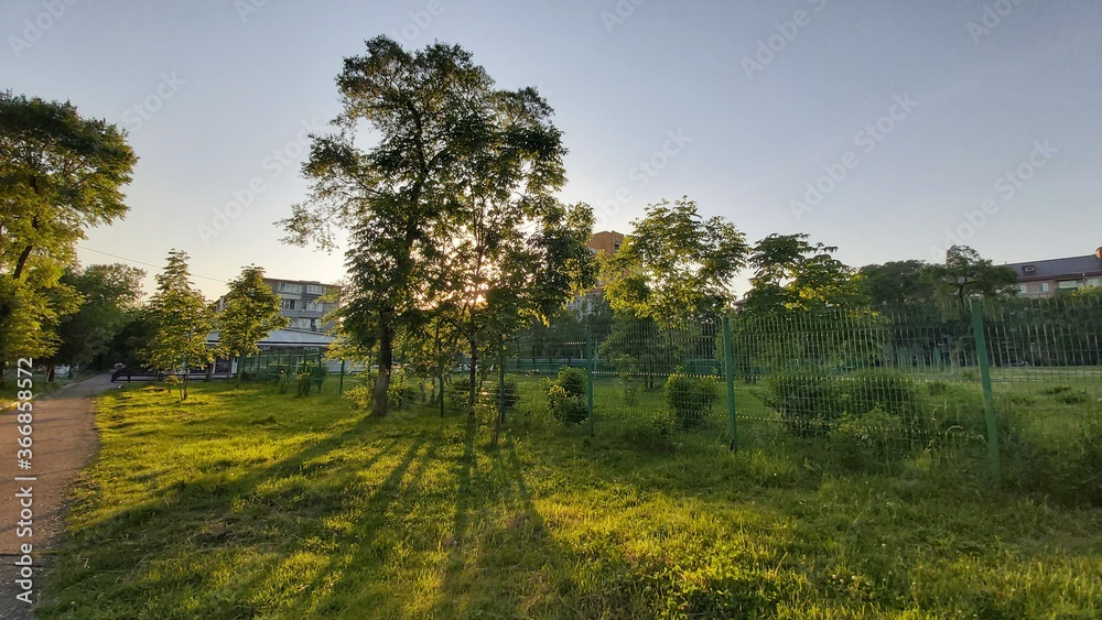 Fototapeta premium Summer landscape with sunset in the village