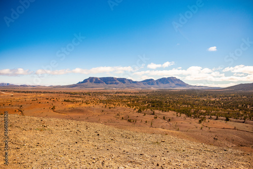 desert landscape in Flinders ranges