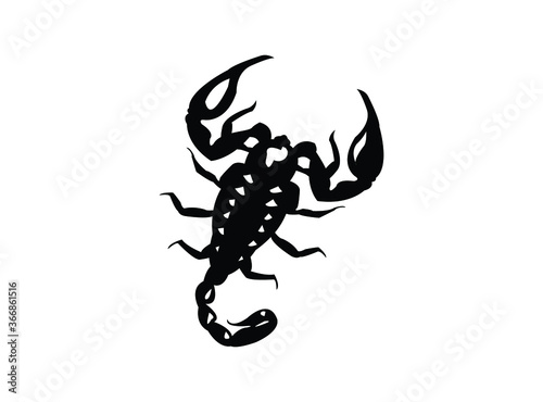 scorpion isolated on white background.