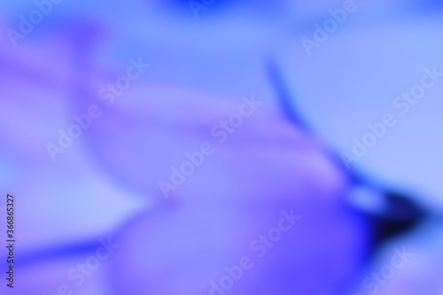 blurred abstract blue background and wallpaper and space for text