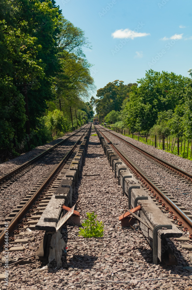 Fototapeta premium Railroad tracks in perspective