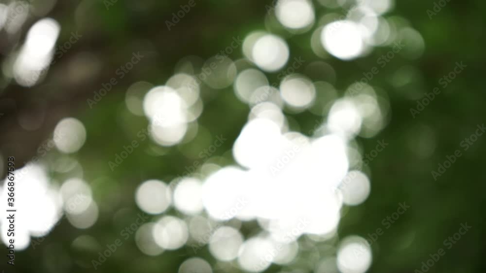 blur background blur background