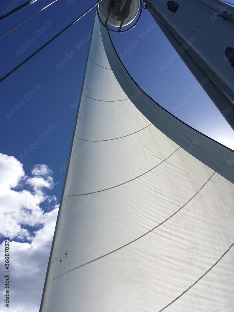 Fototapeta premium Sails on a sailboat open in the wind