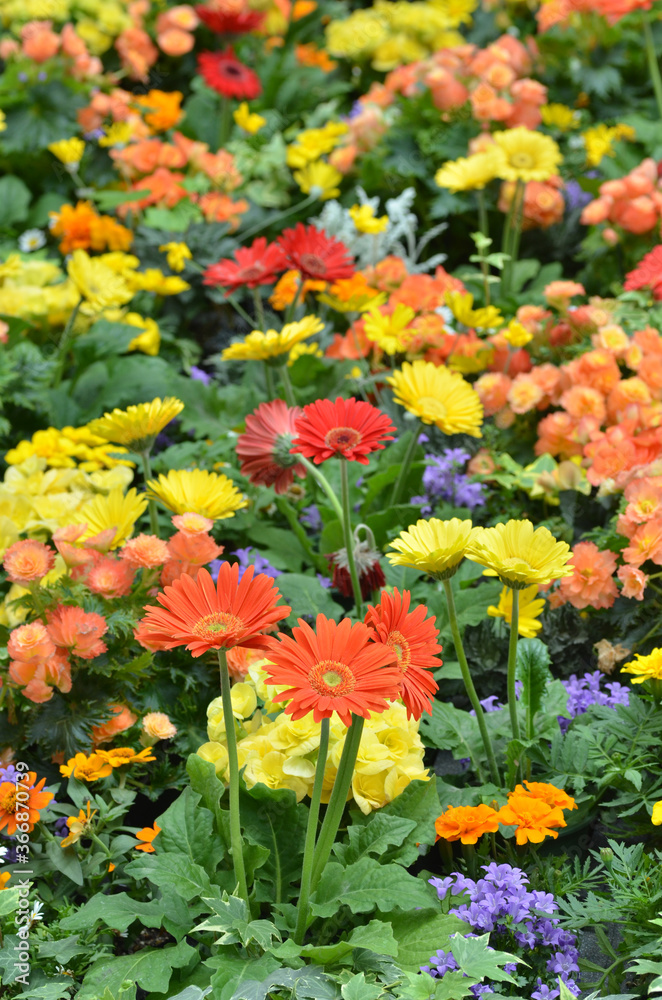 花壇 花壇