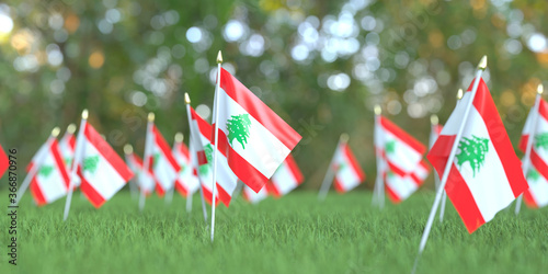Many flags of Lebanon in the grass. National holiday related 3D rendering