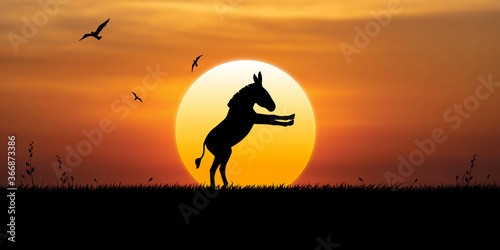 Donkey stands up on its hind legs at sunset  birds fly in the sky