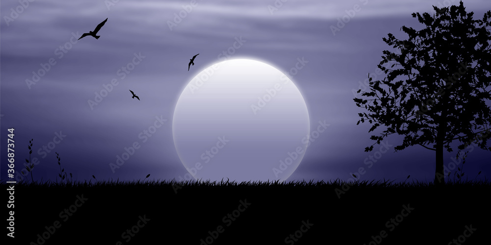 Night moon landscape, birds fly in the sky