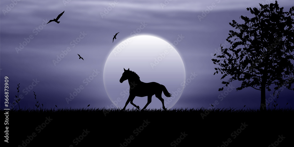 The horse walks in the moonlight at night, birds fly in the sky