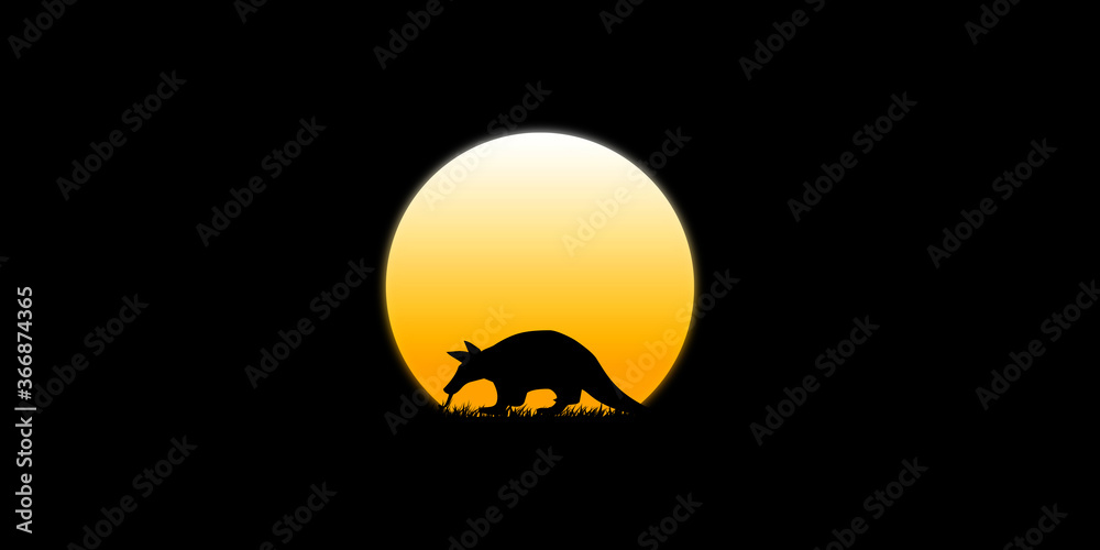walking in the dark moonlight in the darkness of the anteater