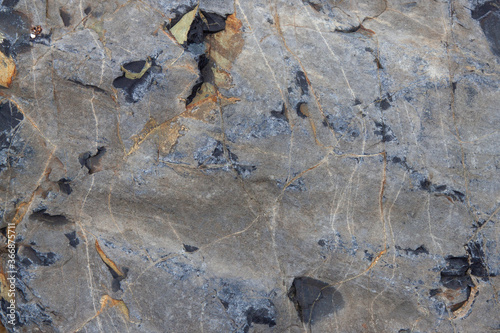 gray stone texture with inclusion and homogeneous background of the rock