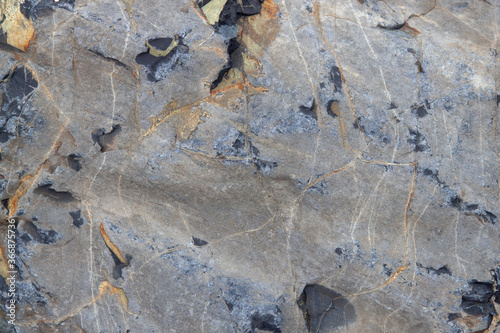 gray stone texture with inclusion and homogeneous background of the rock