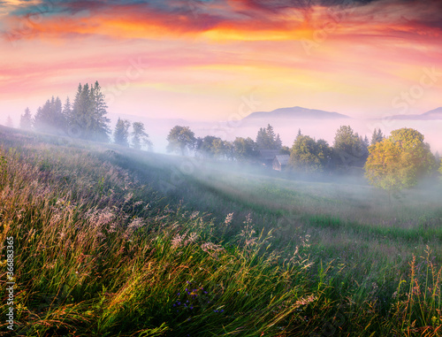 Sunny summer morning in the foggy mountain village