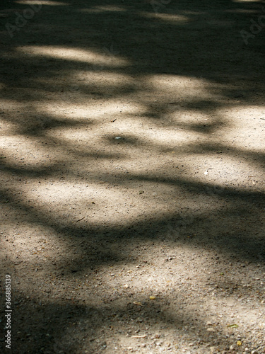 Shadow pattern on a ground