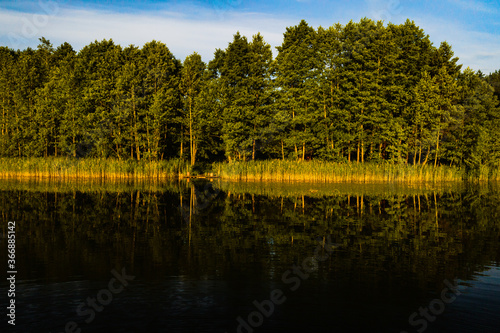 Top view of Bolta lake in the forest in the Braslav lakes National Park at dawn, the most beautiful places in Belarus.An island in the lake.Belarus. photo