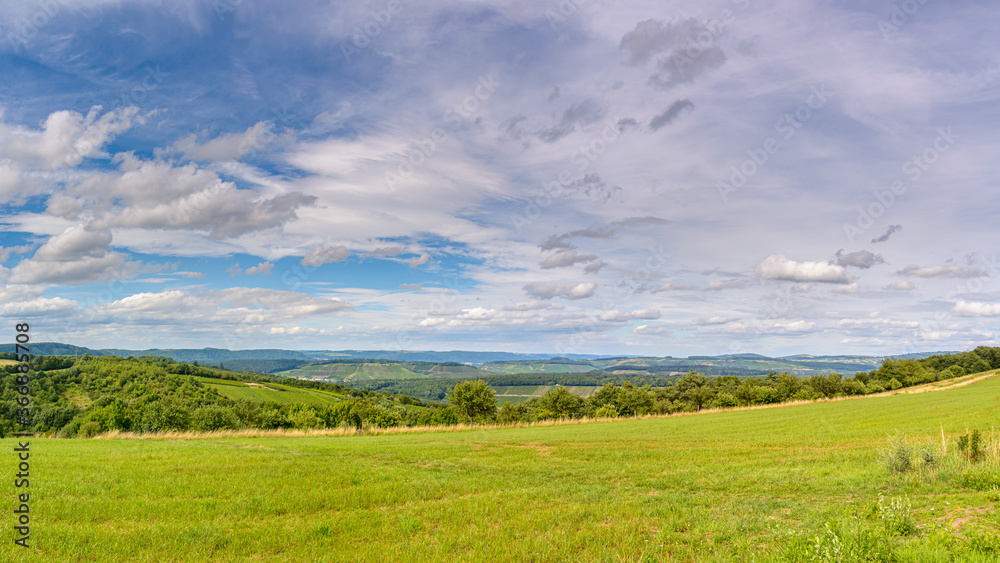 Landscape view at a green field in Germany