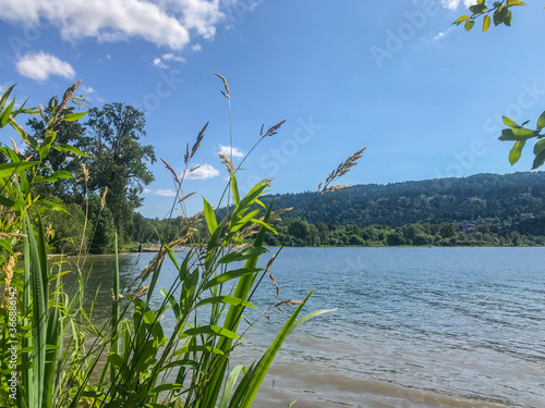 Lake Sammamish State Park photo