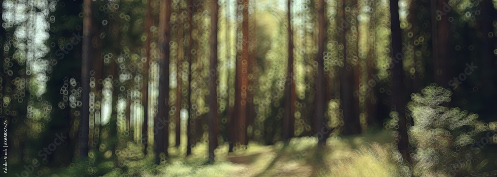 landscape summer forest glare sun bokeh blurred background, abstract view of trees
