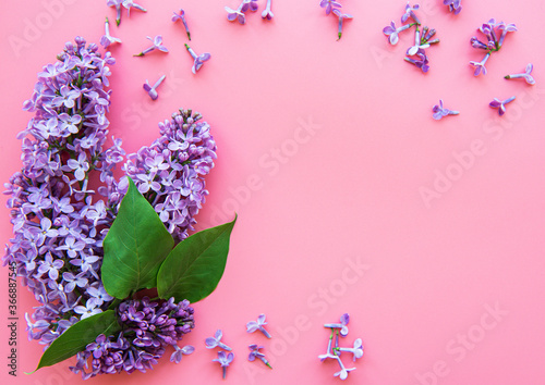 Frame of branches and flowers of lilac