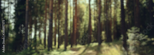 landscape summer forest glare sun bokeh blurred background, abstract view of trees