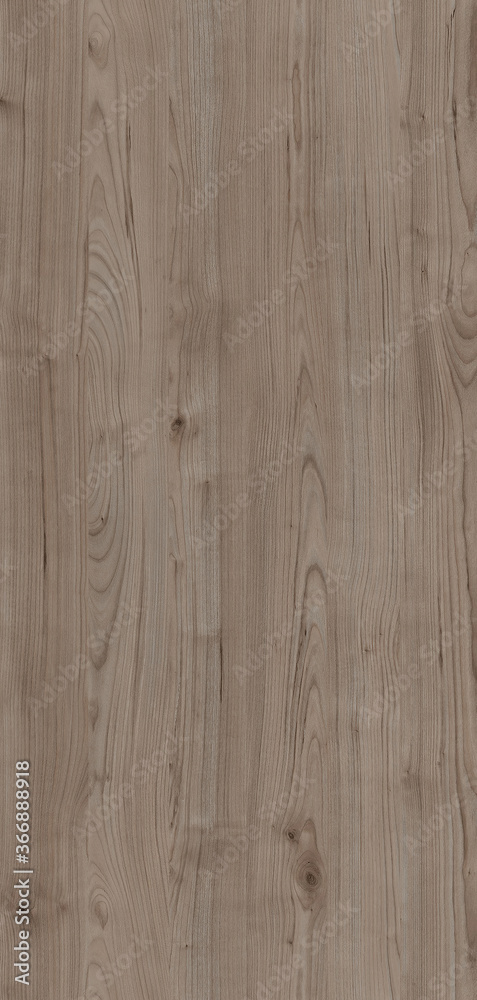Background image featuring a beautiful, natural wood texture Background image featuring a beautiful, natural wood texture
