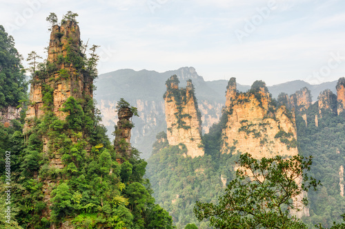 Fabulous view of quartz sandstone pillars (Avatar Mountains)