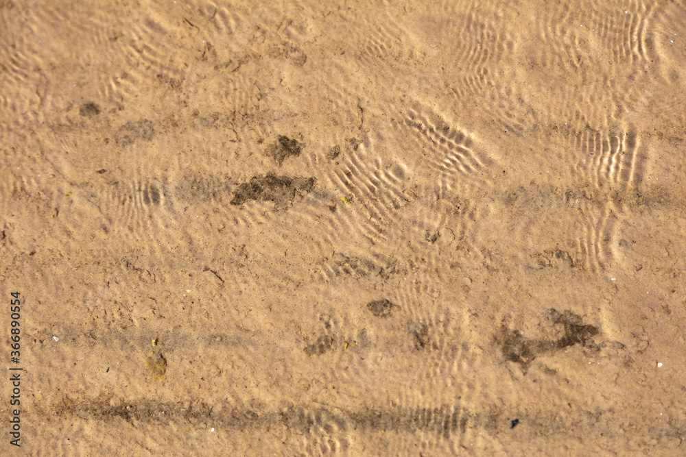 Sandy beach and gentle, soft wave, Baltic nature Sandy beach and gentle, soft wave, Baltic nature