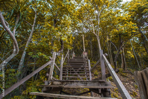 Background of wooden walkways  wooden bridges  created for high-angle views on mountains  natural attractions  or parks that have forest preservation