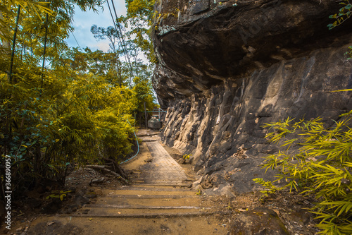 Background of wooden walkways  wooden bridges  created for high-angle views on mountains  natural attractions  or parks that have forest preservation