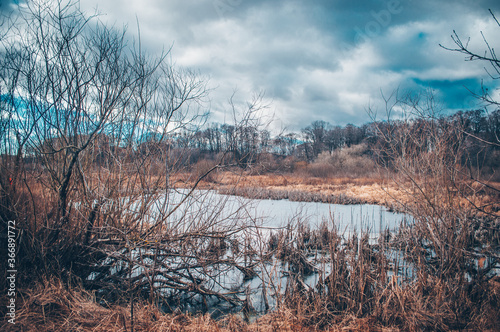 Goryn River and Oak Grove