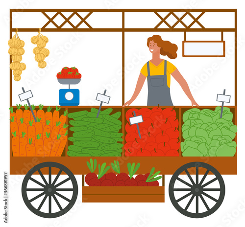 Woman selling carrot and cucumber, apple and cabbage, beet in container with sticker. Buying products tomato on libra, harvest festival, grocery vector
