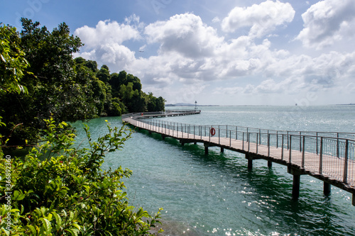 Chek Jawa Broadwalk Jetty, wooden platform in mangrove forest wetlands overlooking sea on Pulau Ubin Island, Singapore.